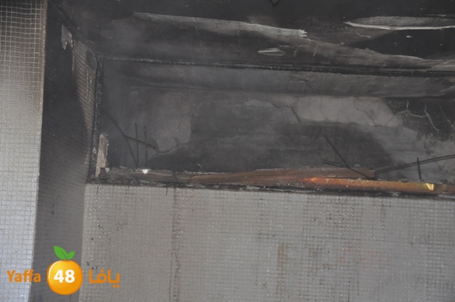 fireshekonatelarab (28).JPG